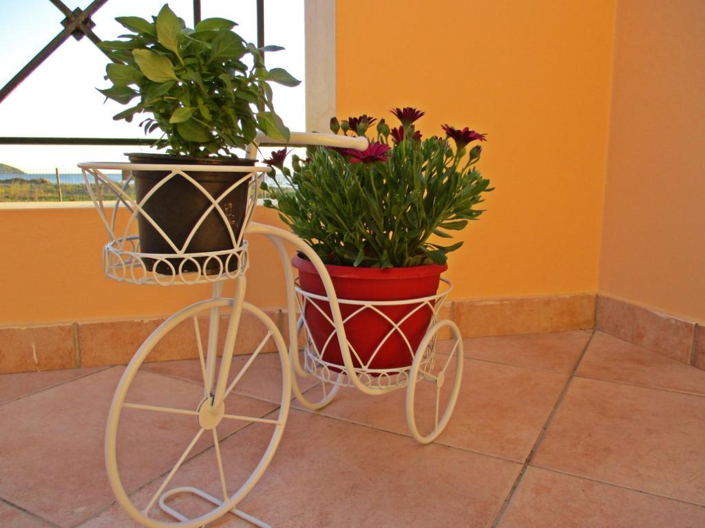 Alkiones Apartment Plati  Exterior photo